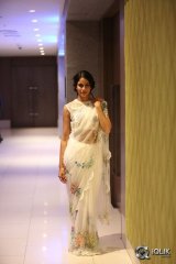 Lavanya Tripathi At Babu Bangaram Movie Audio Launch